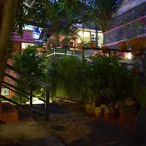 shamrock-holiday-home.hotels-munnar.com/
